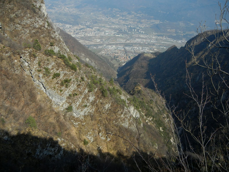 Rupicapra rupicapra.....dal Trentino Alto Adige